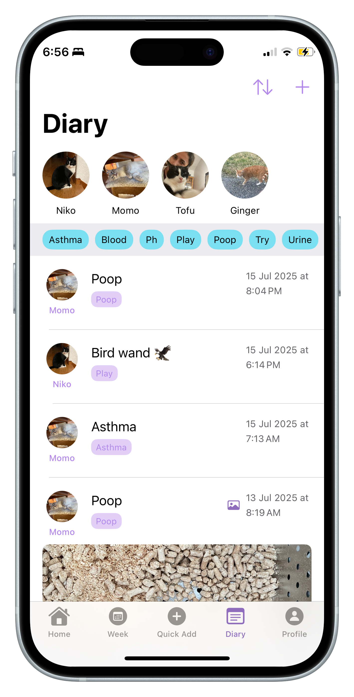 Pet Diary Screenshot